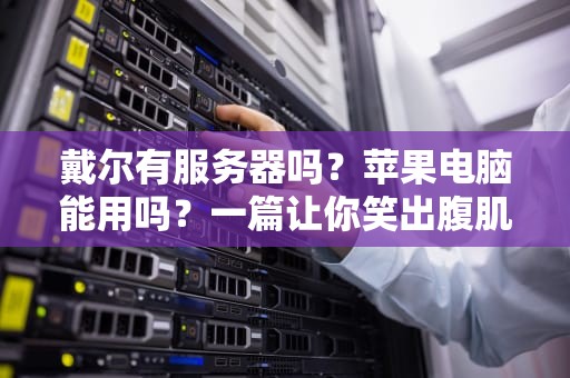 戴尔有服务器吗？苹果电脑能用吗？一篇让你笑出腹肌的硬核科普