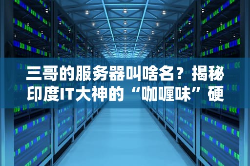 三哥的服务器叫啥名？揭秘印度IT大神的“咖喱味”硬核主机！