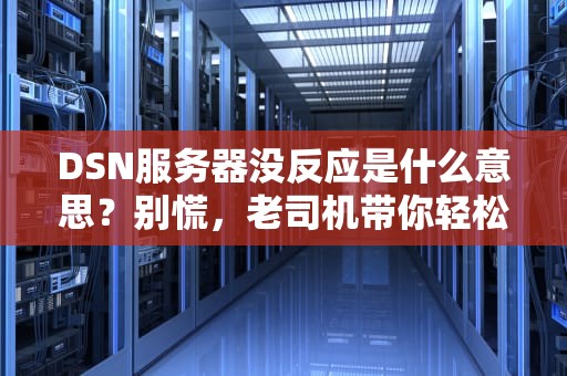 DSN服务器没反应是什么意思？别慌，老司机带你轻松排雷！