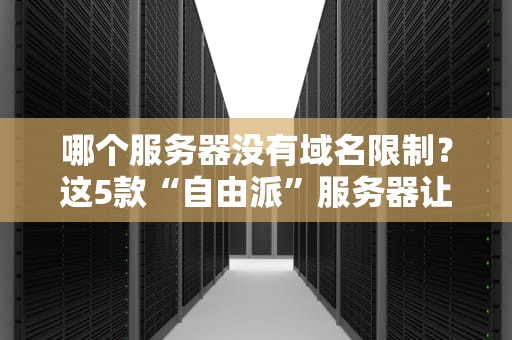 哪个服务器没有域名限制？这5款“自由派”服务器让你任性建站！