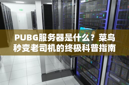 PUBG服务器是什么？菜鸟秒变老司机的终极科普指南！