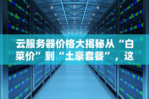 云服务器价格大揭秘从“白菜价”到“土豪套餐”，这样选最划算！