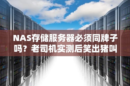 NAS存储服务器必须同牌子吗？老司机实测后笑出猪叫！