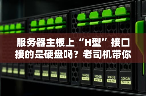服务器主板上“H型”接口接的是硬盘吗？老司机带你揭秘主板接口那些事儿！