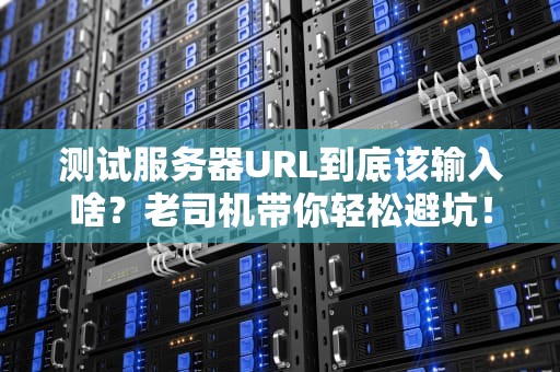 测试服务器URL到底该输入啥？老司机带你轻松避坑！