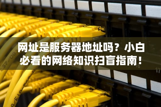 网址是服务器地址吗？小白必看的网络知识扫盲指南！
