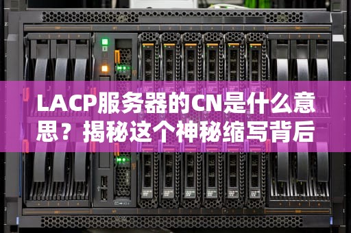 LACP服务器的CN是什么意思？揭秘这个神秘缩写背后的技术玄机！
