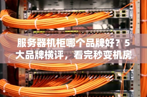 服务器机柜哪个品牌好？5大品牌横评，看完秒变机房老司机！