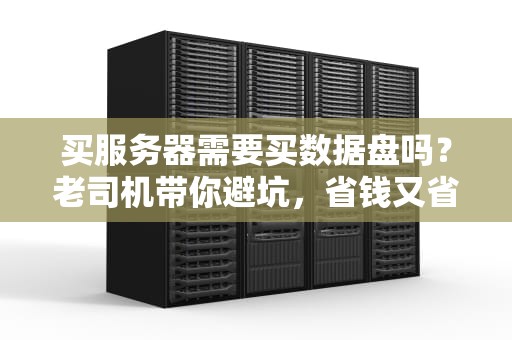 买服务器需要买数据盘吗？老司机带你避坑，省钱又省心！