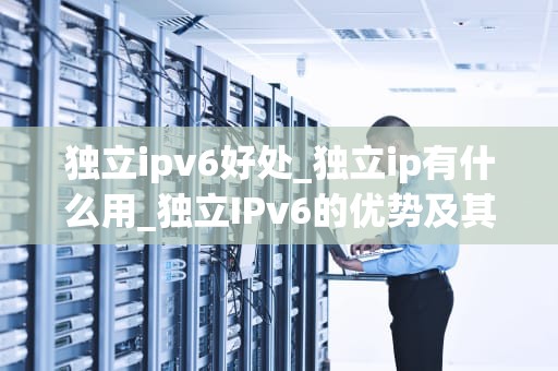 独立ipv6好处_独立ip有什么用_独立IPv6的优势及其应用