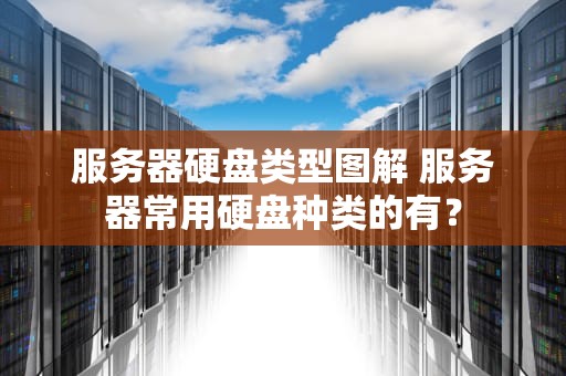 服务器硬盘类型图解 服务器常用硬盘种类的有？