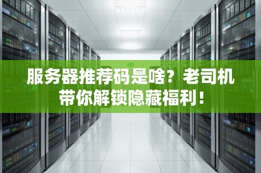 服务器推荐码是啥？老司机带你解锁隐藏福利！