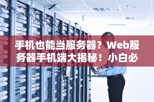 手机也能当服务器？Web服务器手机端大揭秘！小白必看！