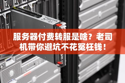 服务器付费转服是啥？老司机带你避坑不花冤枉钱！