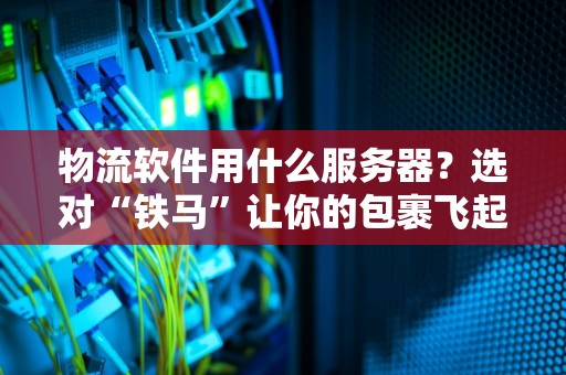 物流软件用什么服务器？选对“铁马”让你的包裹飞起来！