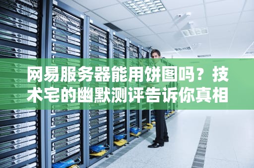 网易服务器能用饼图吗？技术宅的幽默测评告诉你真相！