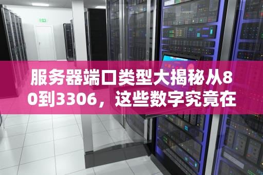 服务器端口类型大揭秘从80到3306，这些数字究竟在搞什么鬼？