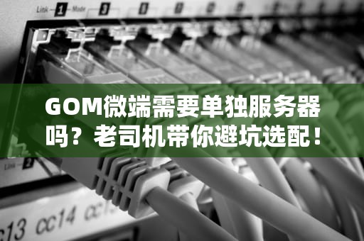GOM微端需要单独服务器吗？老司机带你避坑选配！