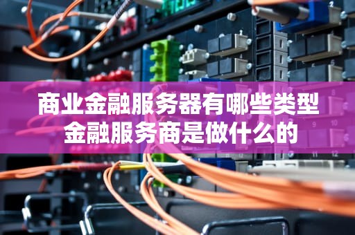 商业金融服务器有哪些类型 金融服务商是做什么的