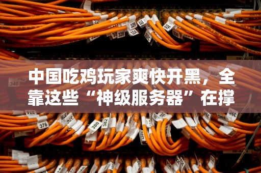 中国吃鸡玩家爽快开黑，全靠这些“神级服务器”在撑腰！