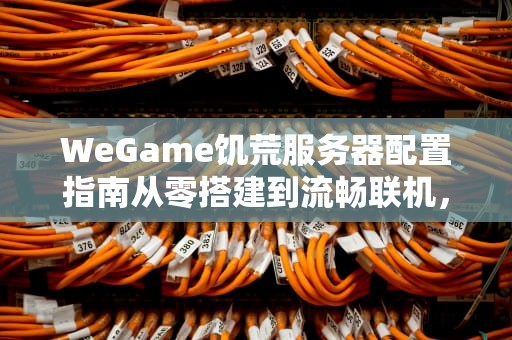 WeGame饥荒服务器配置指南从零搭建到流畅联机，看完秒变老司机！