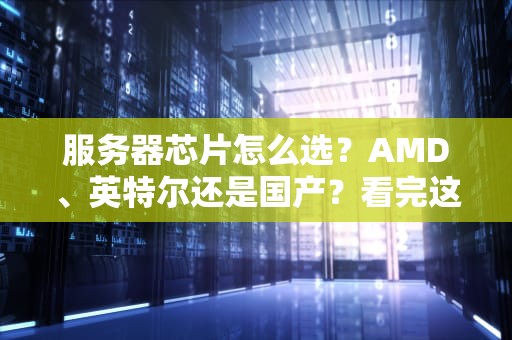 服务器芯片怎么选？AMD、英特尔还是国产？看完这篇不纠结！