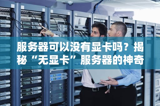 服务器可以没有显卡吗？揭秘“无显卡”服务器的神奇世界！