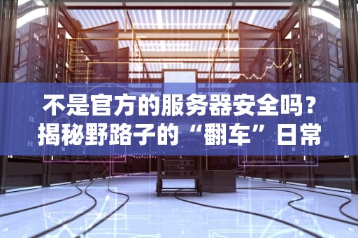 不是官方的服务器安全吗？揭秘野路子的“翻车”日常！