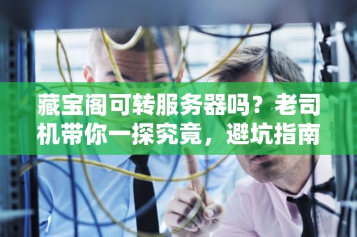 藏宝阁可转服务器吗？老司机带你一探究竟，避坑指南+实操攻略！