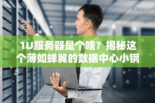 1U服务器是个啥？揭秘这个薄如蝉翼的数据中心小钢炮