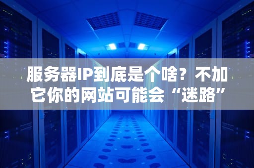 服务器IP到底是个啥？不加它你的网站可能会“迷路”！