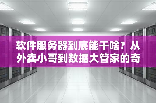 软件服务器到底能干啥？从外卖小哥到数据大管家的奇妙变身！