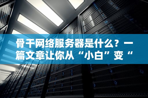 骨干网络服务器是什么？一篇文章让你从“小白”变“大神”（附专业测评）