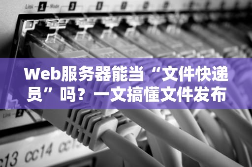 Web服务器能当“文件快递员”吗？一文搞懂文件发布那些事儿！