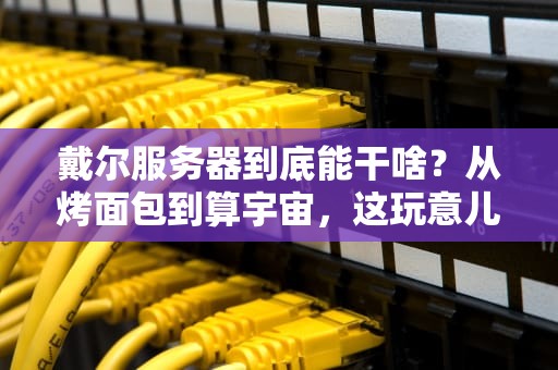 戴尔服务器到底能干啥？从烤面包到算宇宙，这玩意儿比你想的还离谱！