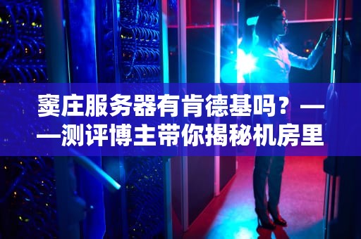窦庄服务器有肯德基吗？——测评博主带你揭秘机房里的“炸鸡玄学”