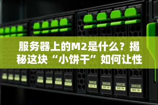 服务器上的M2是什么？揭秘这块“小饼干”如何让性能起飞！