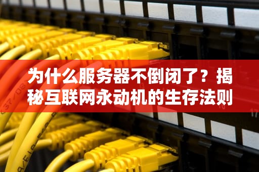 为什么服务器不倒闭了？揭秘互联网永动机的生存法则