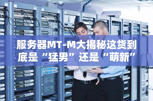服务器MT-M大揭秘这货到底是“猛男”还是“萌新”？