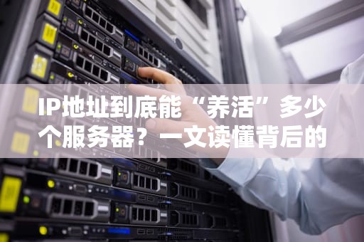 IP地址到底能“养活”多少个服务器？一文读懂背后的秘密！