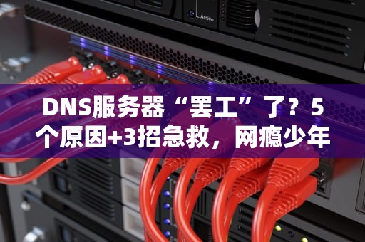 DNS服务器“罢工”了？5个原因+3招急救，网瘾少年速来围观！