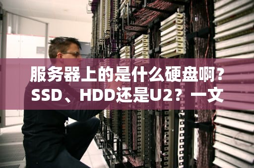 服务器上的是什么硬盘啊？SSD、HDD还是U2？一文读懂企业级存储的“五脏六腑”