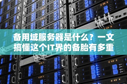 备用域服务器是什么？一文搞懂这个IT界的备胎有多重要！