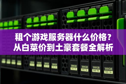 租个游戏服务器什么价格？从白菜价到土豪套餐全解析！