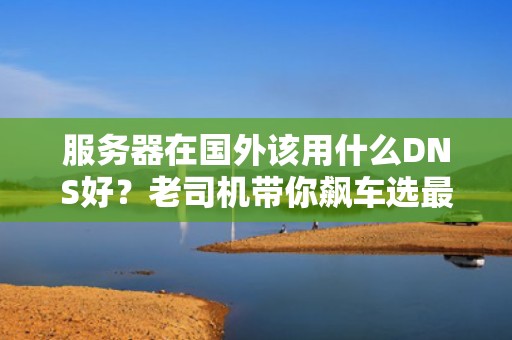 服务器在国外该用什么DNS好？老司机带你飙车选最优解！