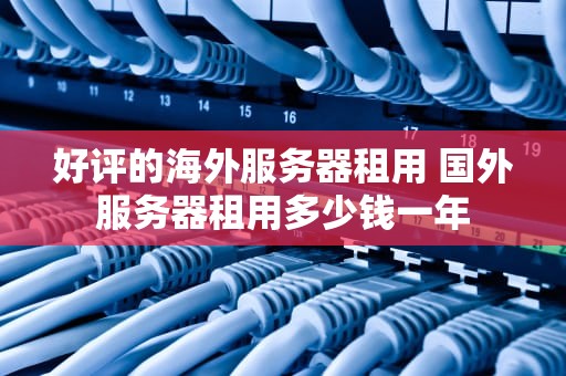 好评的海外服务器租用 国外服务器租用多少钱一年