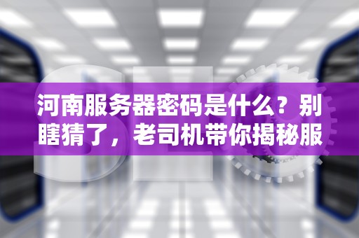 河南服务器密码是什么？别瞎猜了，老司机带你揭秘服务器安全那些事儿！