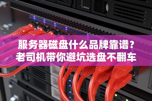 服务器磁盘什么品牌靠谱？老司机带你避坑选盘不翻车！