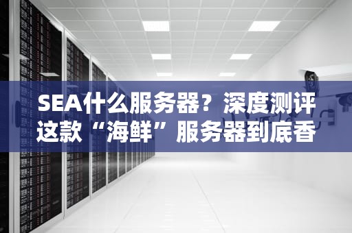 SEA什么服务器？深度测评这款“海鲜”服务器到底香不香！