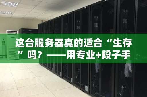 这台服务器真的适合“生存”吗？——用专业+段子手的方式测评你的数字家园